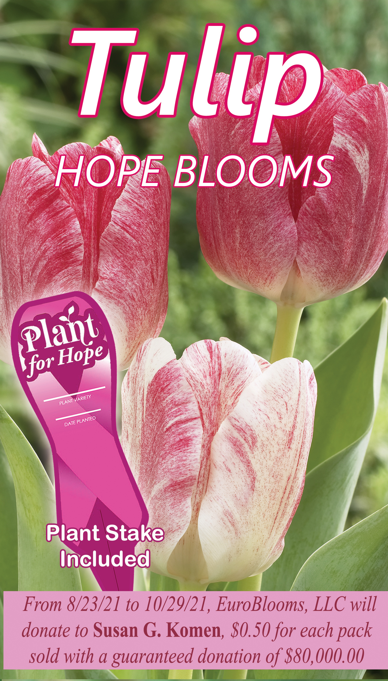 https://www.euroblooms.com/wp-content/uploads/2021/07/Fall-2021-SK-Box-TULIP-Hope-Blooms.jpg